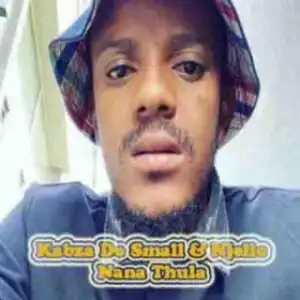Kabza De Small - Nana Thula (Sample) Ft. Njelic